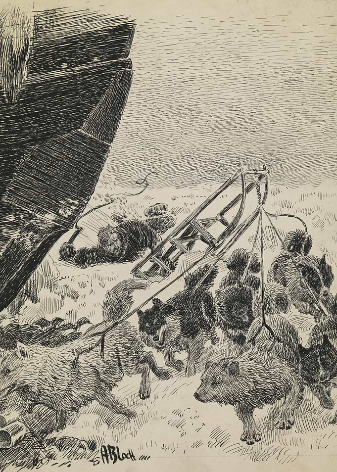 Dog Sled Team and Shipwreck