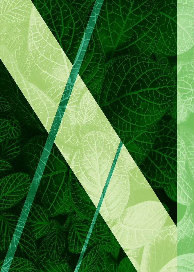Green Leaves with Diagonal Overlay