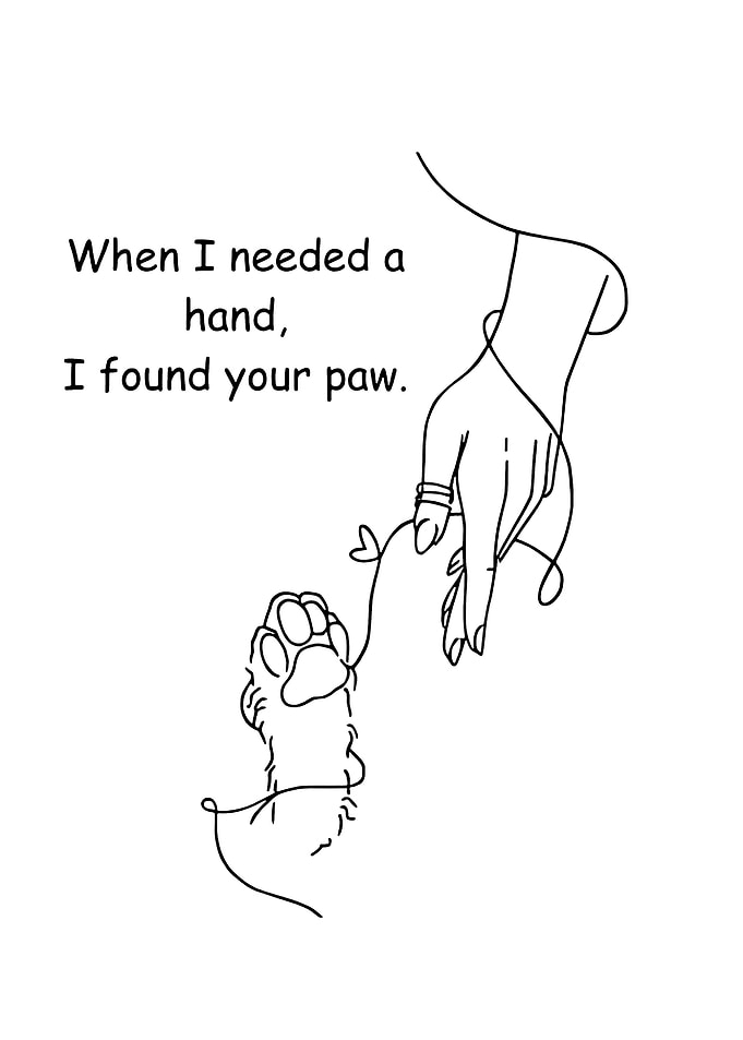 Human Hand and Paw Connection