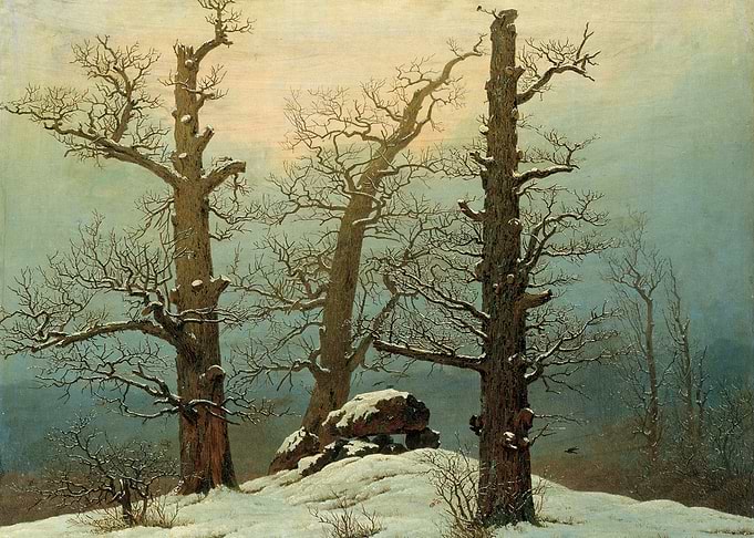 Winter Trees in Snow