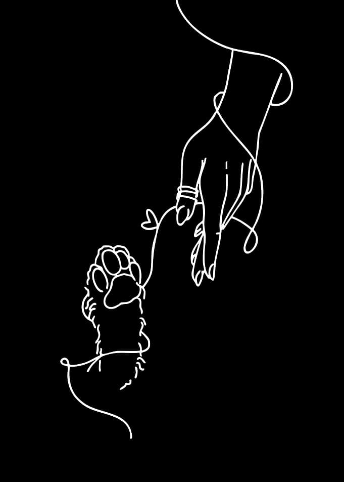 Human Hand and Paw Connection