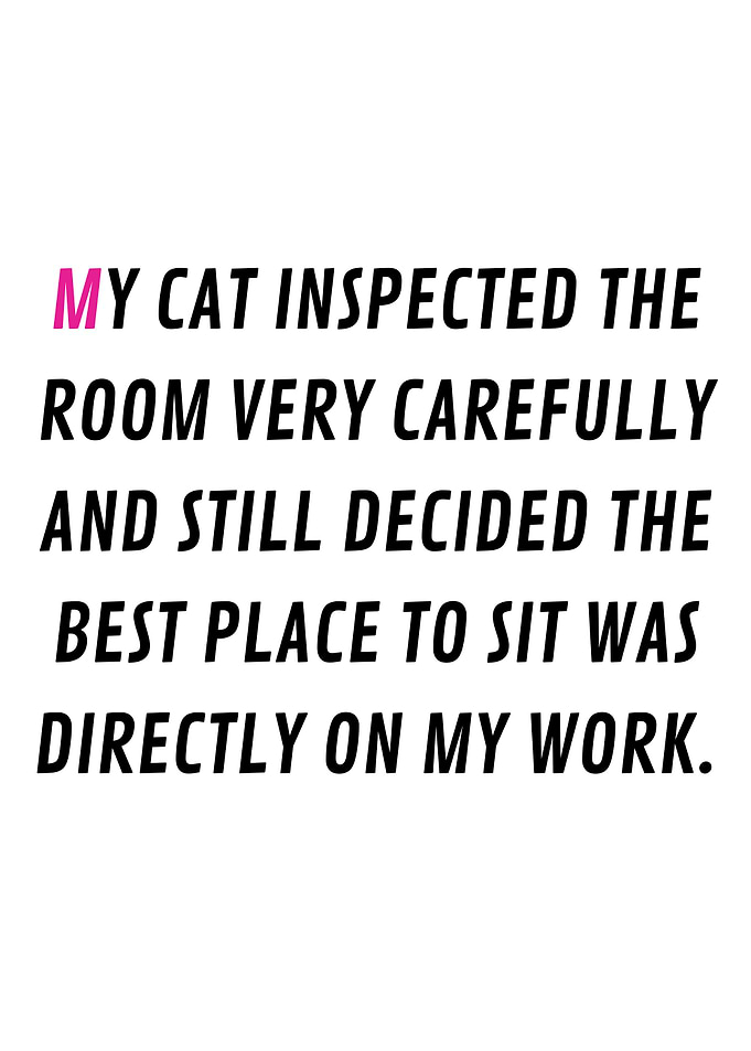 Quality control by my cat