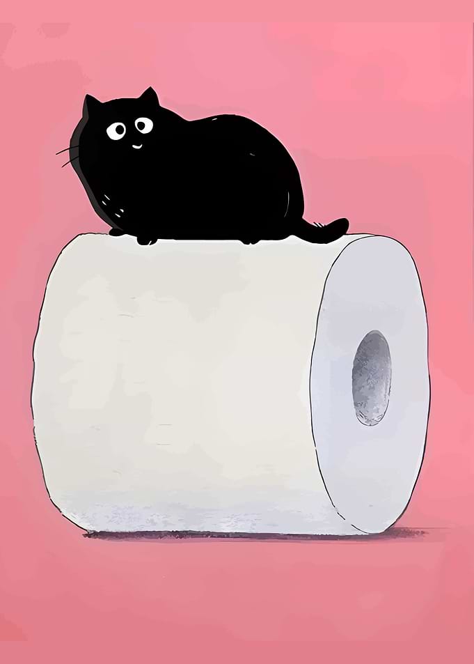 Black Cat on Toilet Paper