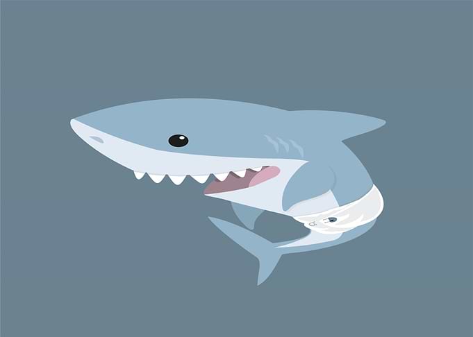 Baby Shark Wearing a Diaper