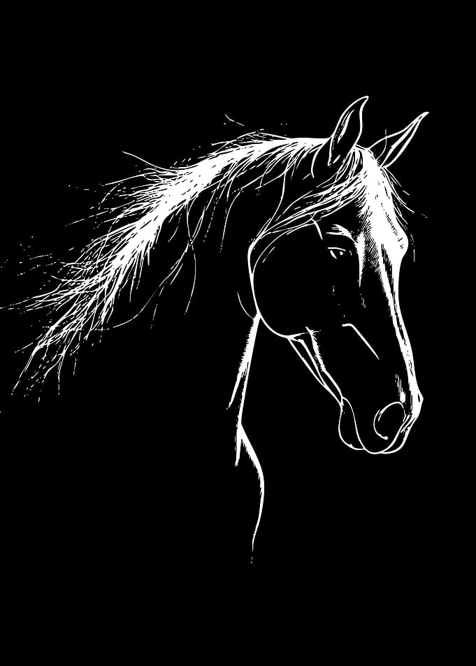 White Horse Head Silhouette