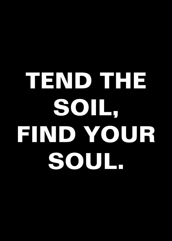 Tend the Soil, Find Your Soul