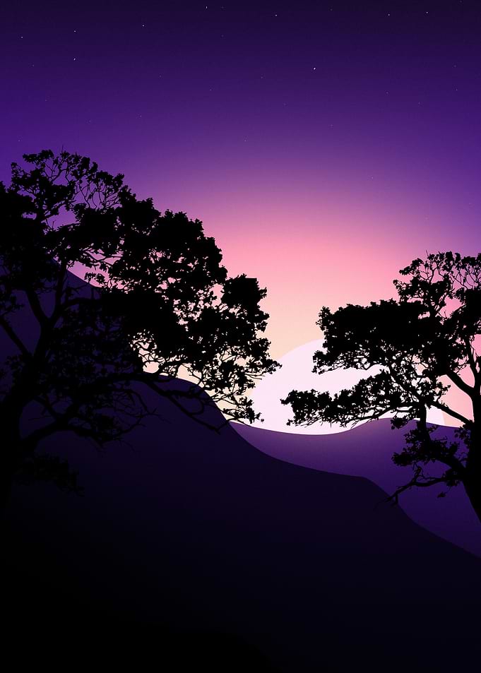 Silhouette Trees Against Sunset Sky