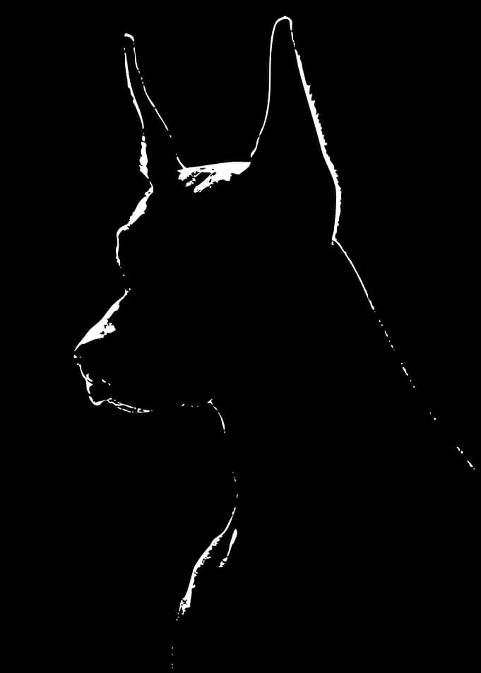 Silhouette of a Doberman's Head