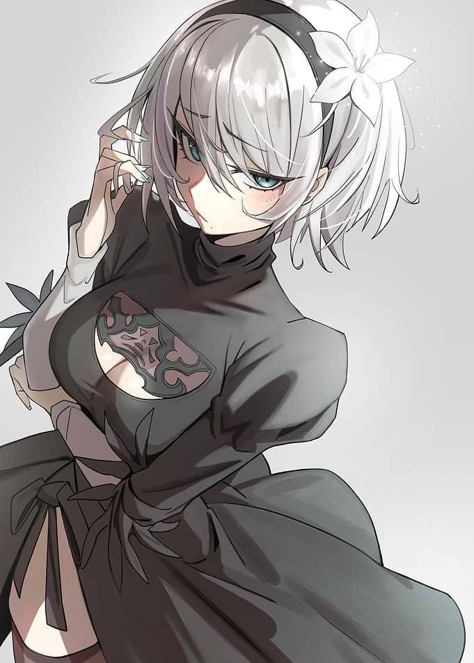 Nier Automata 2B