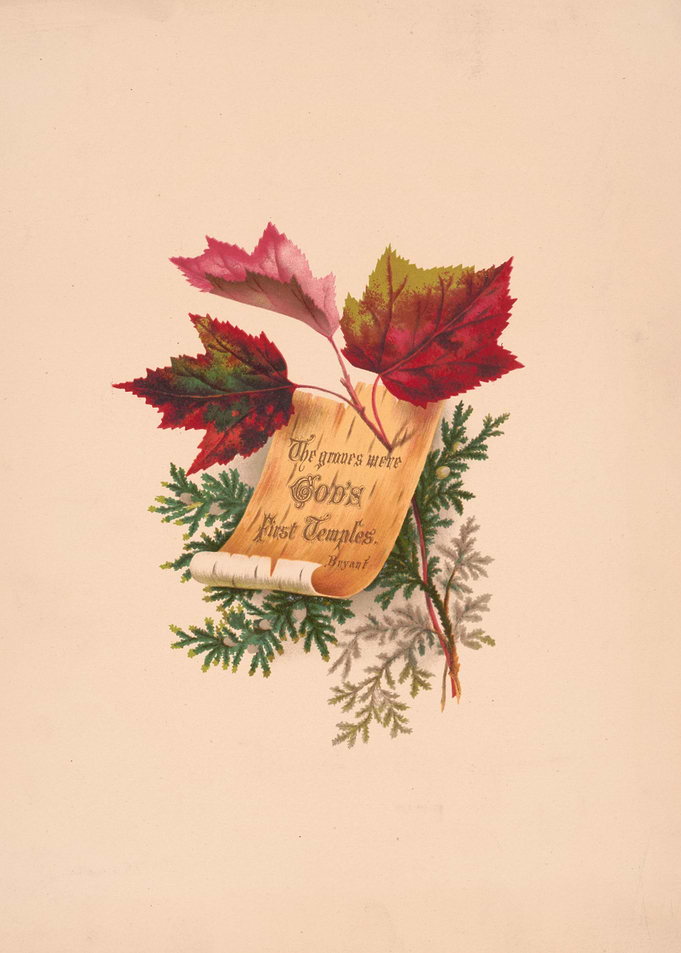 Autumn Leaves and Scroll
