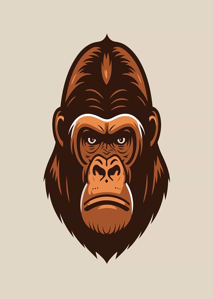 Gorilla Head Illustration