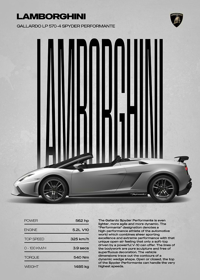 Lamborghini Gallardo Spyder Performante