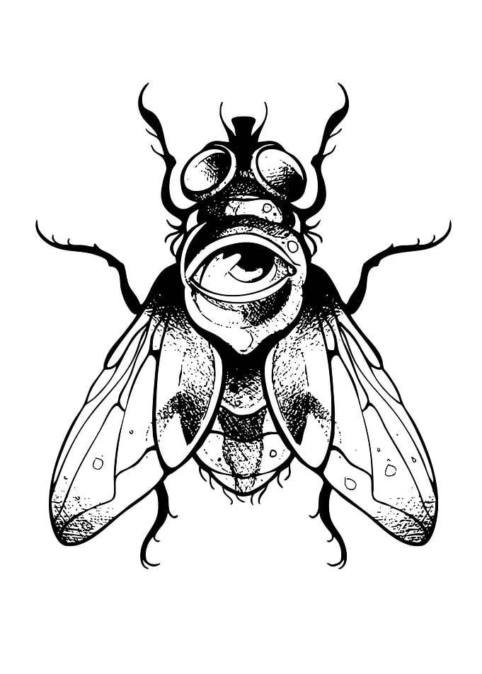 Stylized Fly with Eye