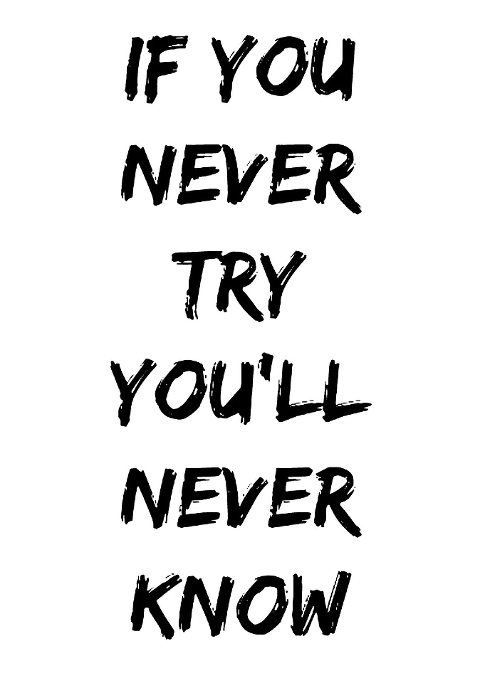 If You Never Try You'll Never Know