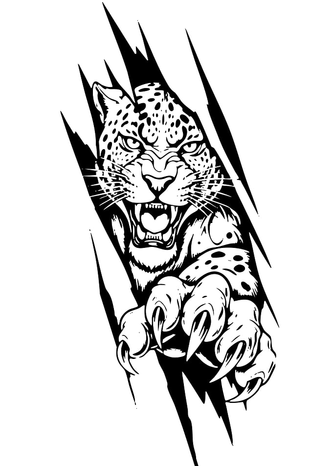 Fierce Leopard Ripping Through Surface