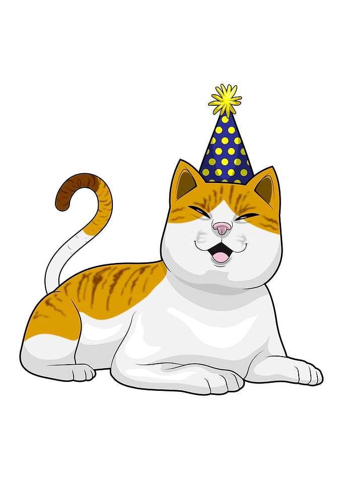 Cat Birthday Party hat