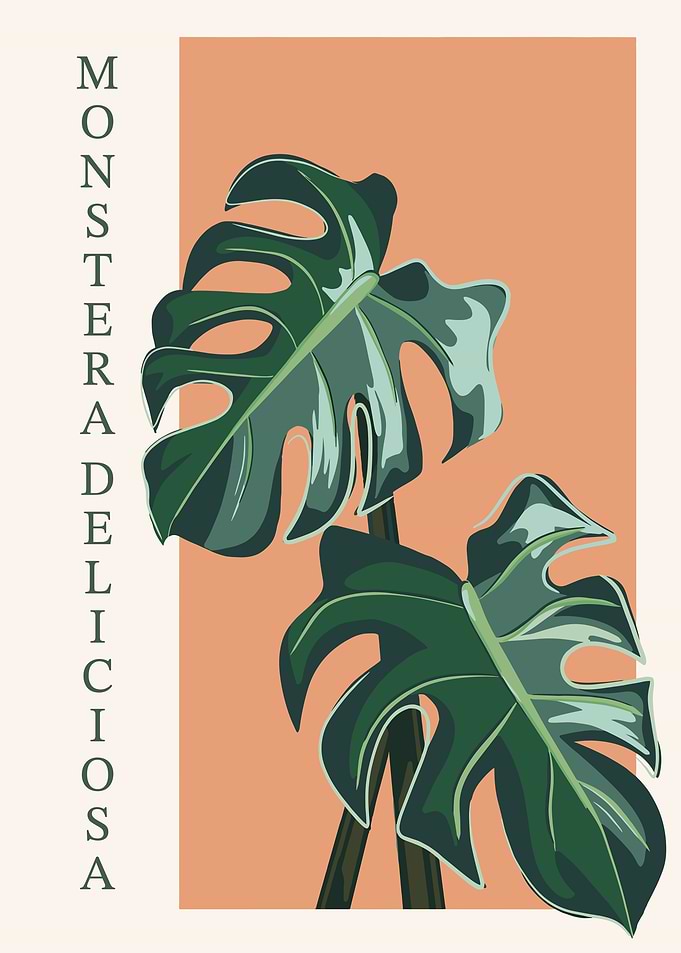 Monstera Deliciosa Plant Art