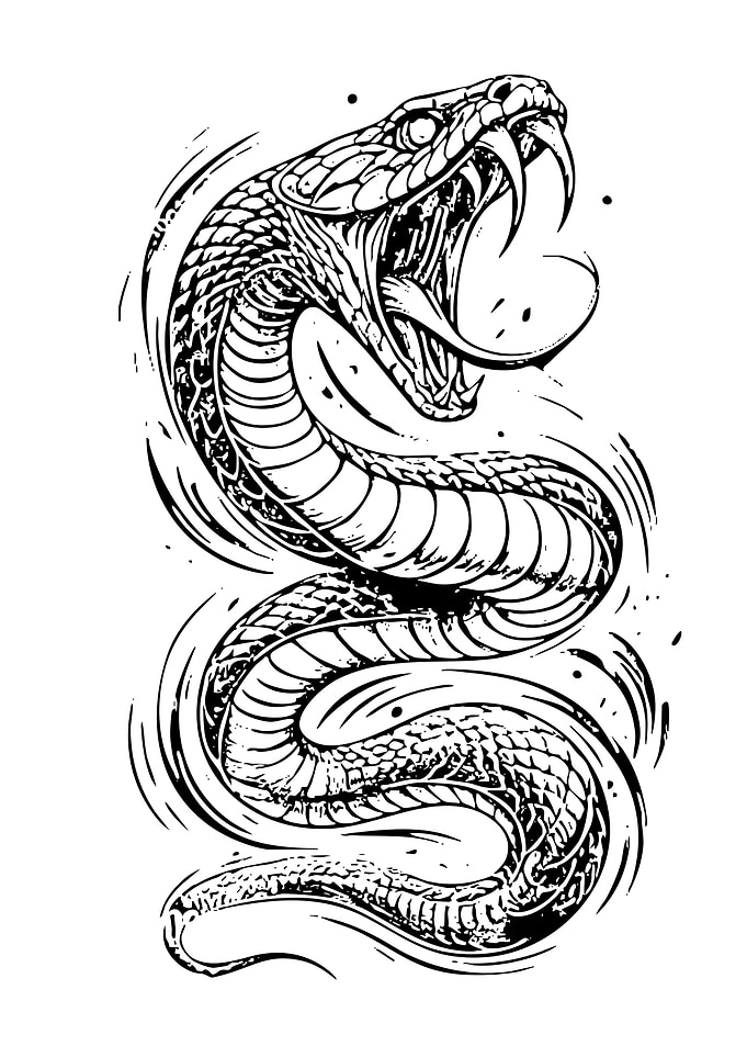 Aggressive Snake Illustration