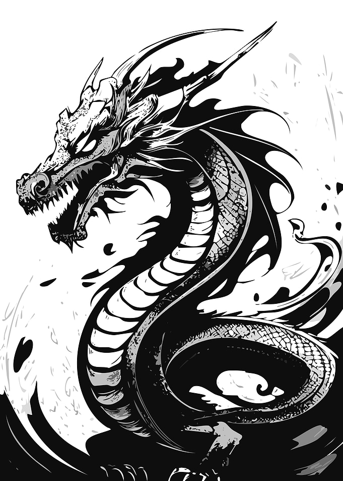 Black and White Dragon