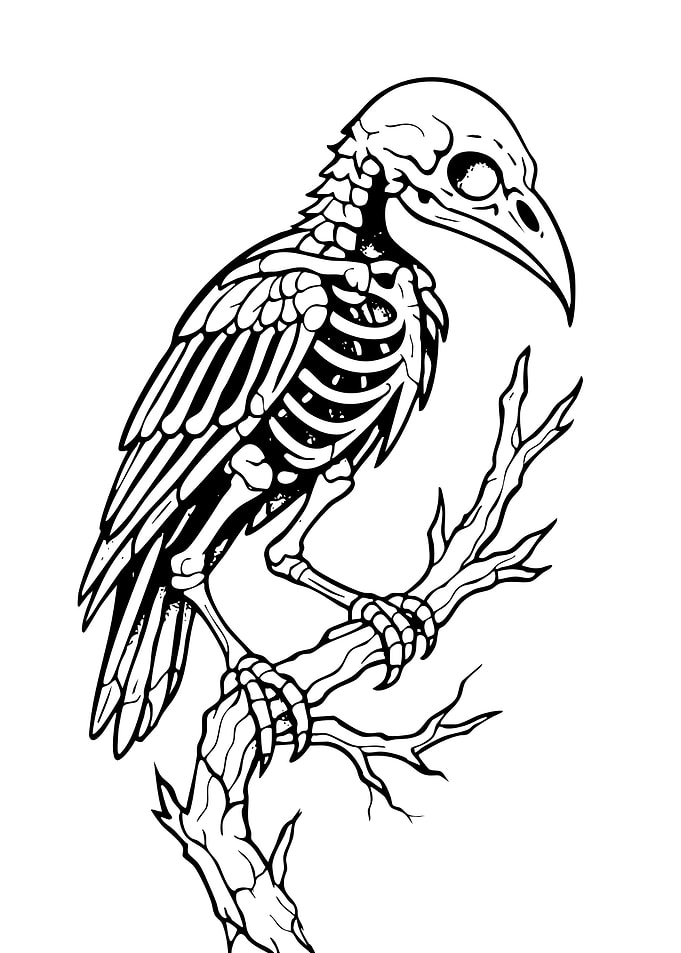 Skeleton Bird on a Branch