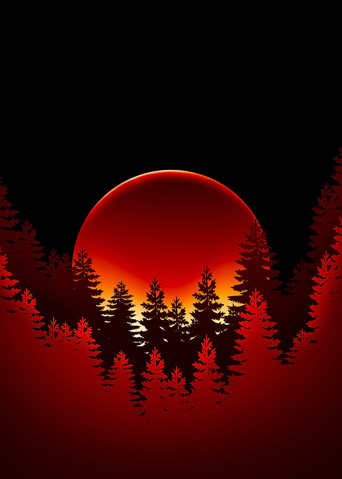 Crimson Sunset Over Pine Forest