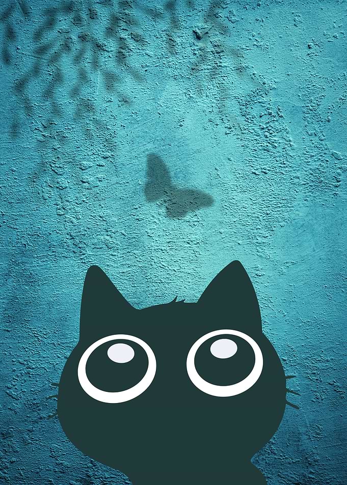 Serene Black Cat Looking at Butterfly Shadow