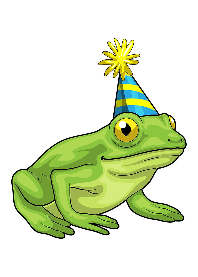Frog Birthday Party hat