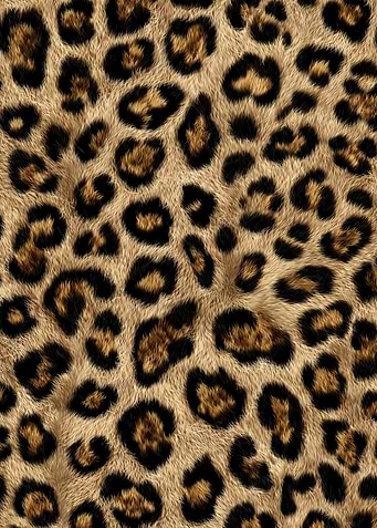 Leopard Print Fur Texture
