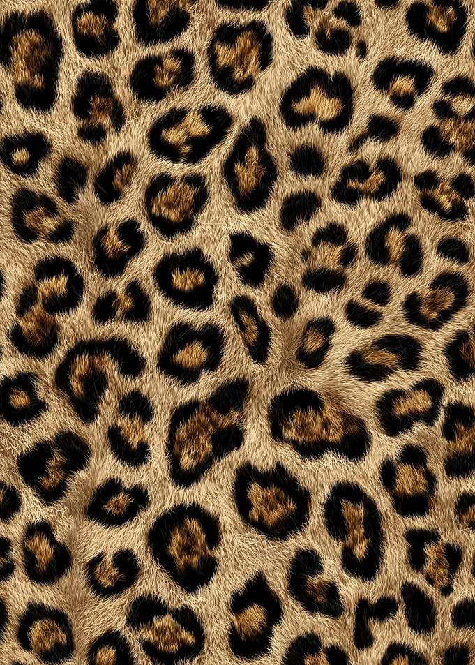 Leopard Print Fur Texture