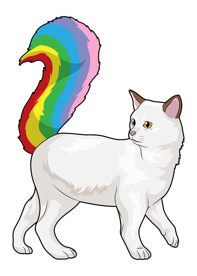 Cat Rainbow