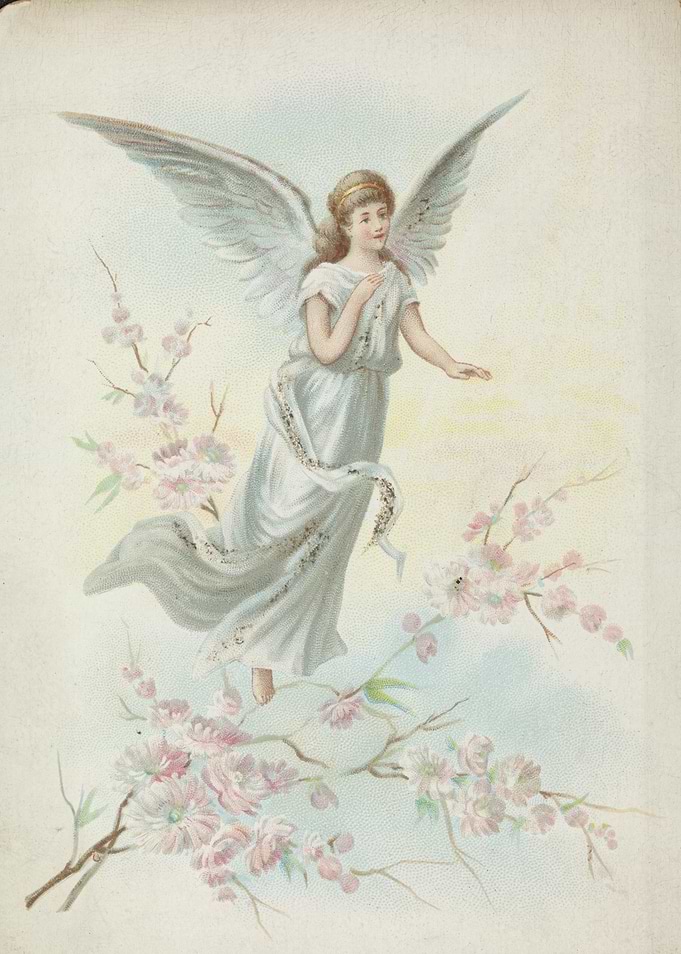 Angel with Cherry Blossoms