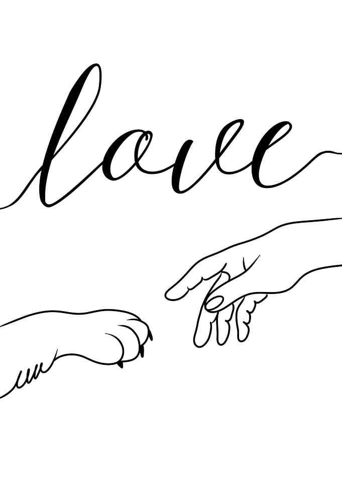 PET LOVE
