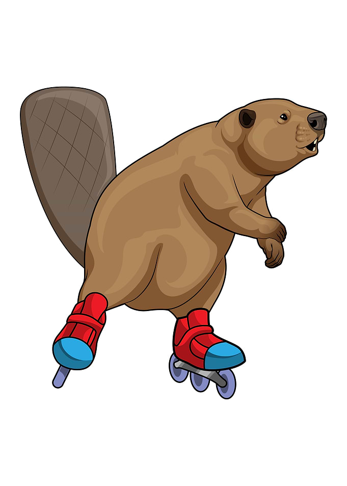 Beaver Inline skates