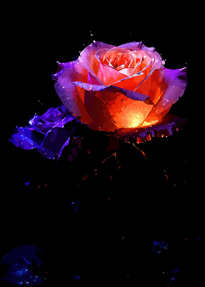 Glowing Roses on Black Background
