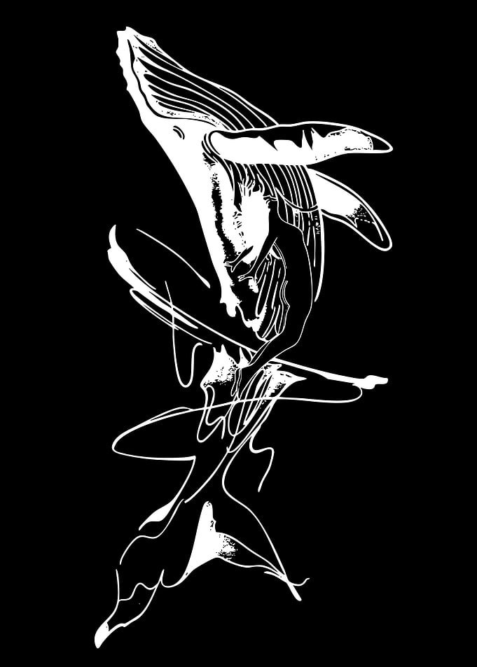 Whale and Dancer Silhouette
