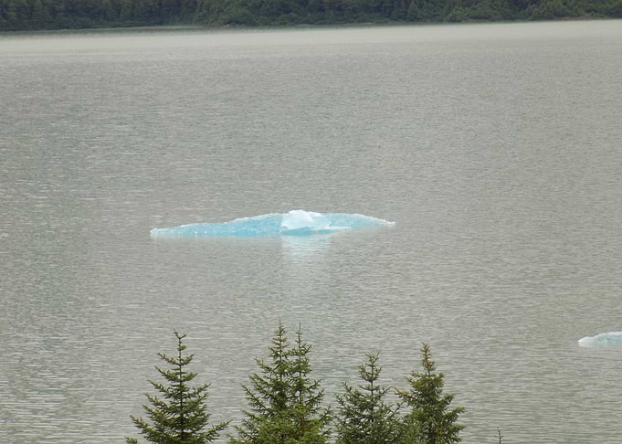 Iceberg floating in a lake