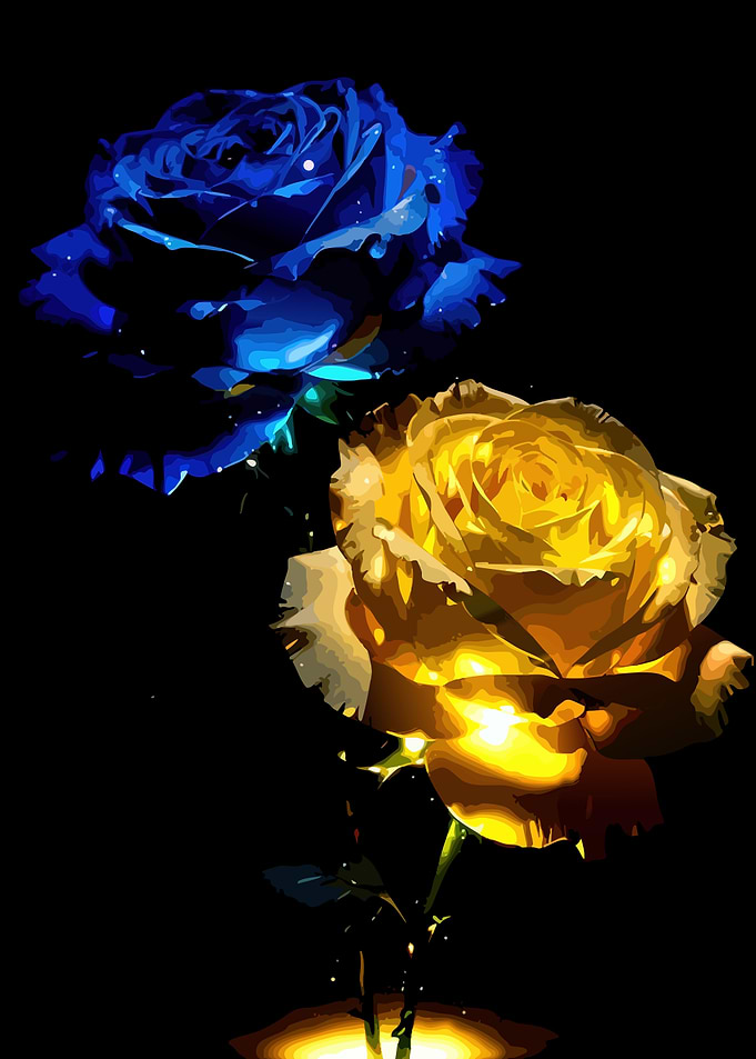 Blue and Yellow Roses