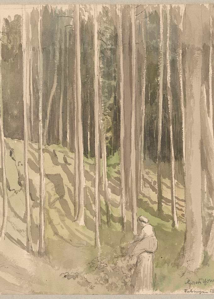 Woman in a Forest