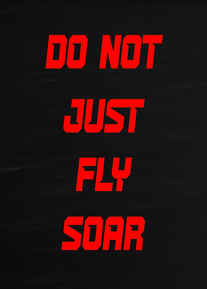 Do Not Just Fly Soar Text Art