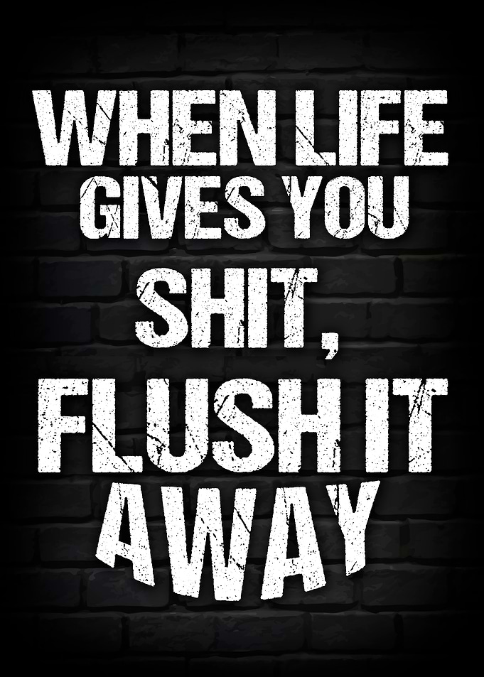When Life Gives You Shit, Flush It Away