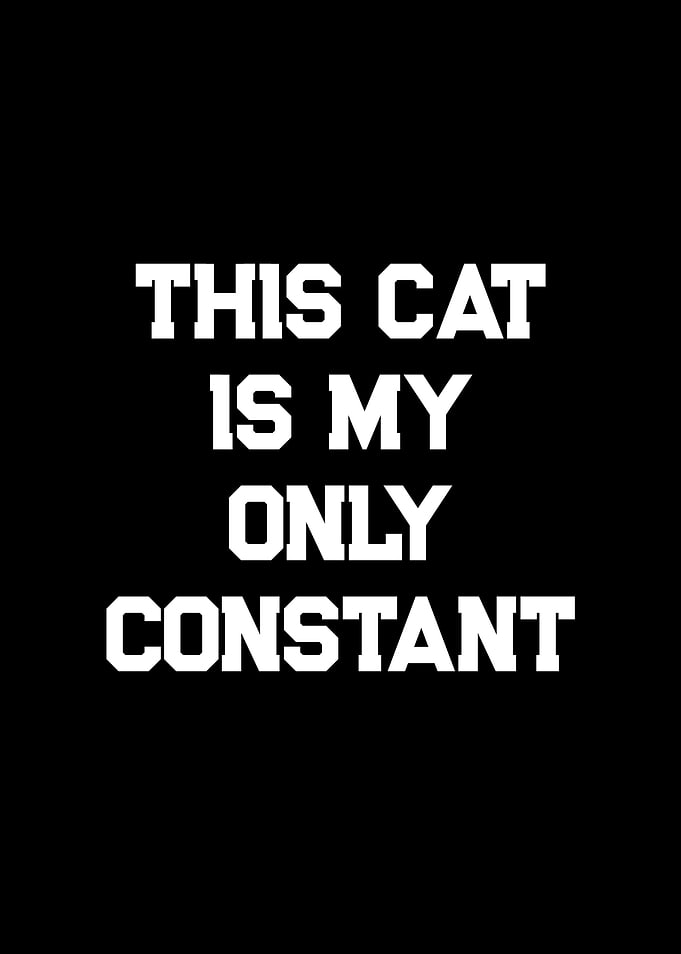 This Cat Is My Only Constant Text Art