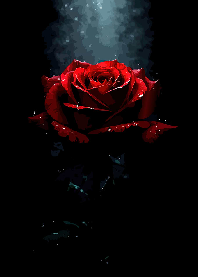 Red Rose with Water Droplets