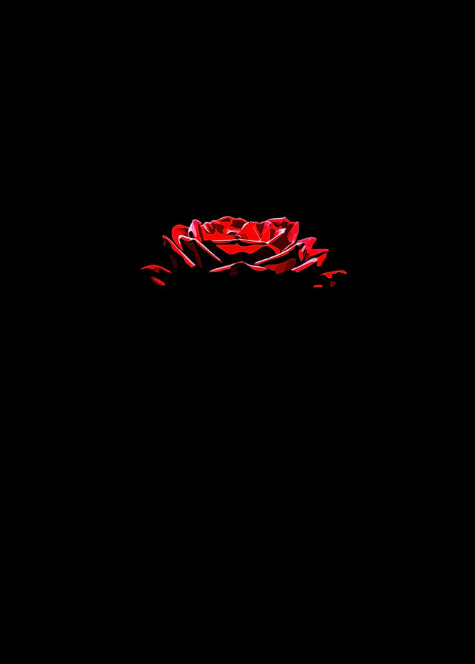 Red Rose on Black Background