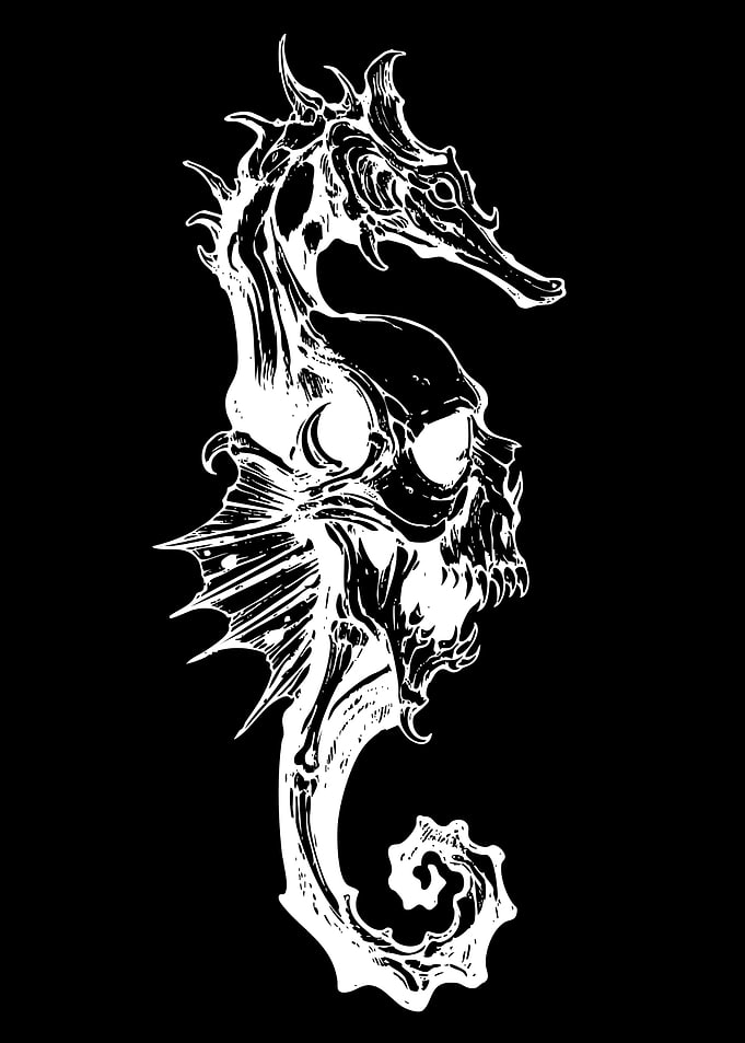 Skull Seahorse Illustration