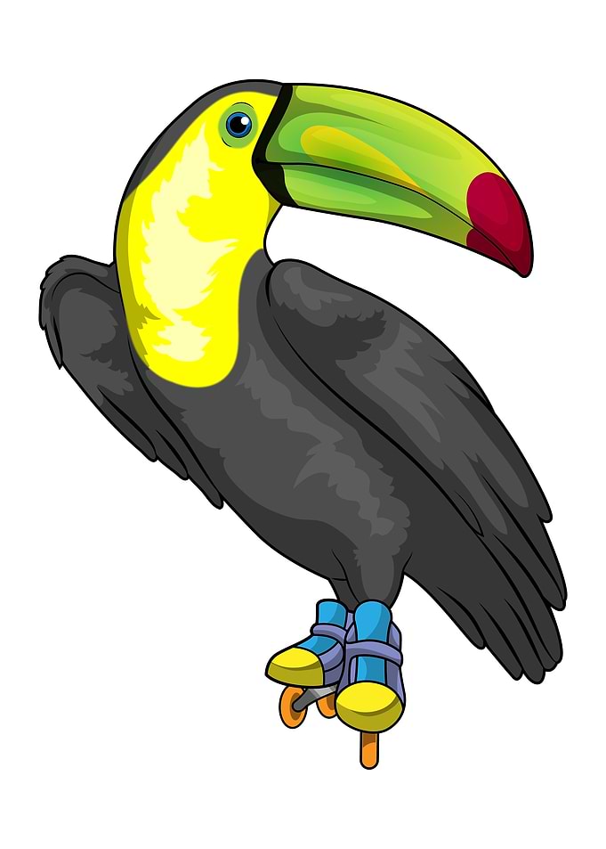 Toucan Inline skating