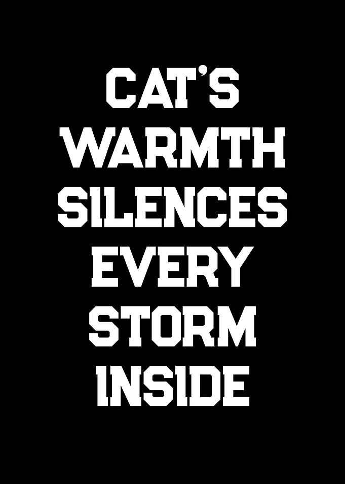 Cat's Warmth Silences Every Storm Inside