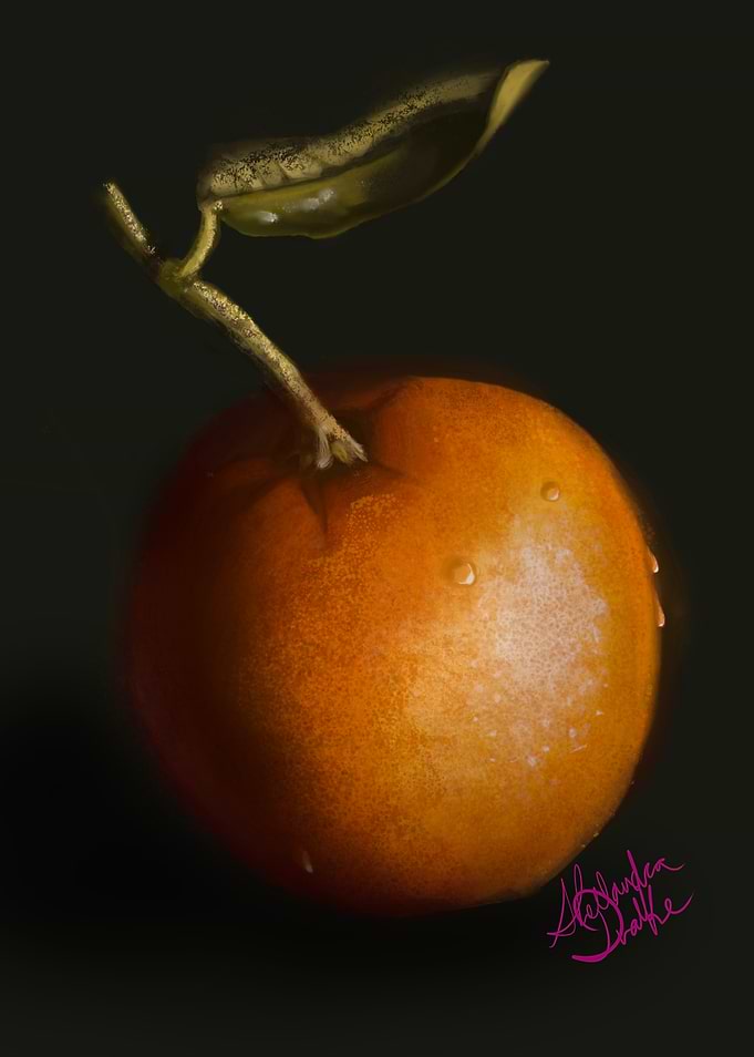 Digital Painting of an Orange with Leaf