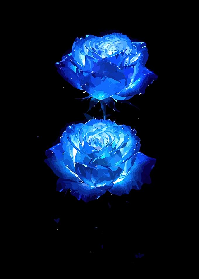 Two glowing blue roses