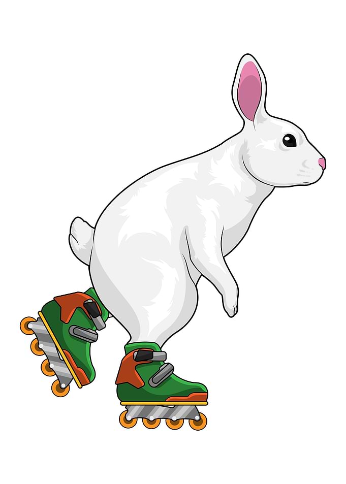 Rabbit Inline skating