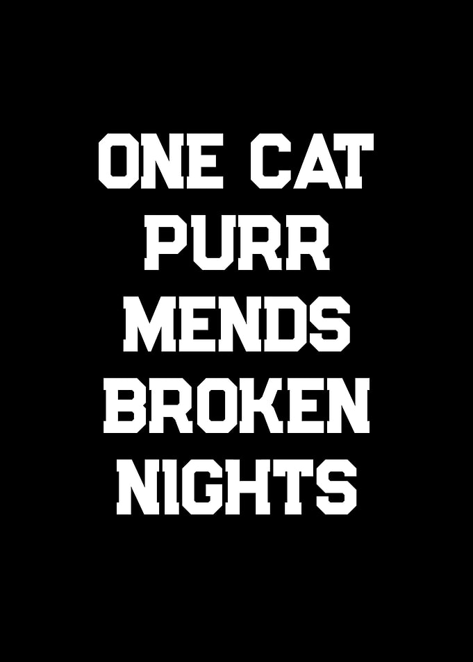 One Cat Purr Mends Broken Nights